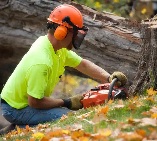 tree services Neosho